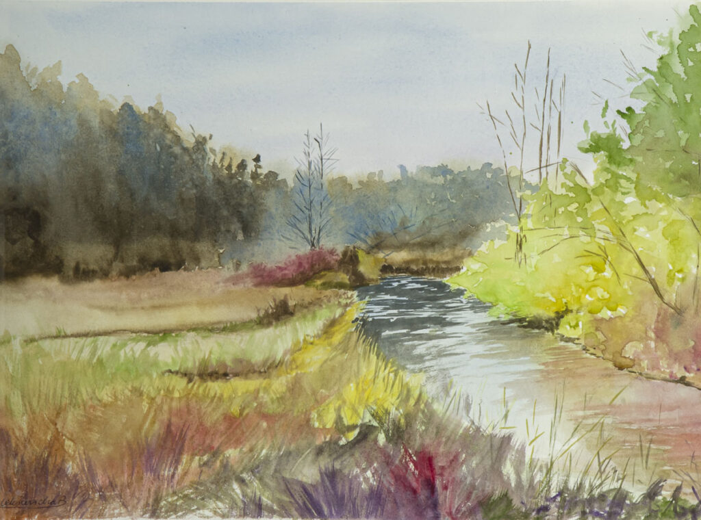 Akwarele Czarna Puma 05