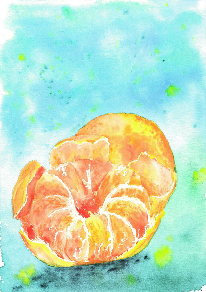 Akwarele Czarna Puma 12