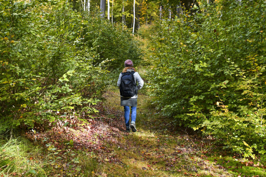 Lasoterapia Czarna Puma 03