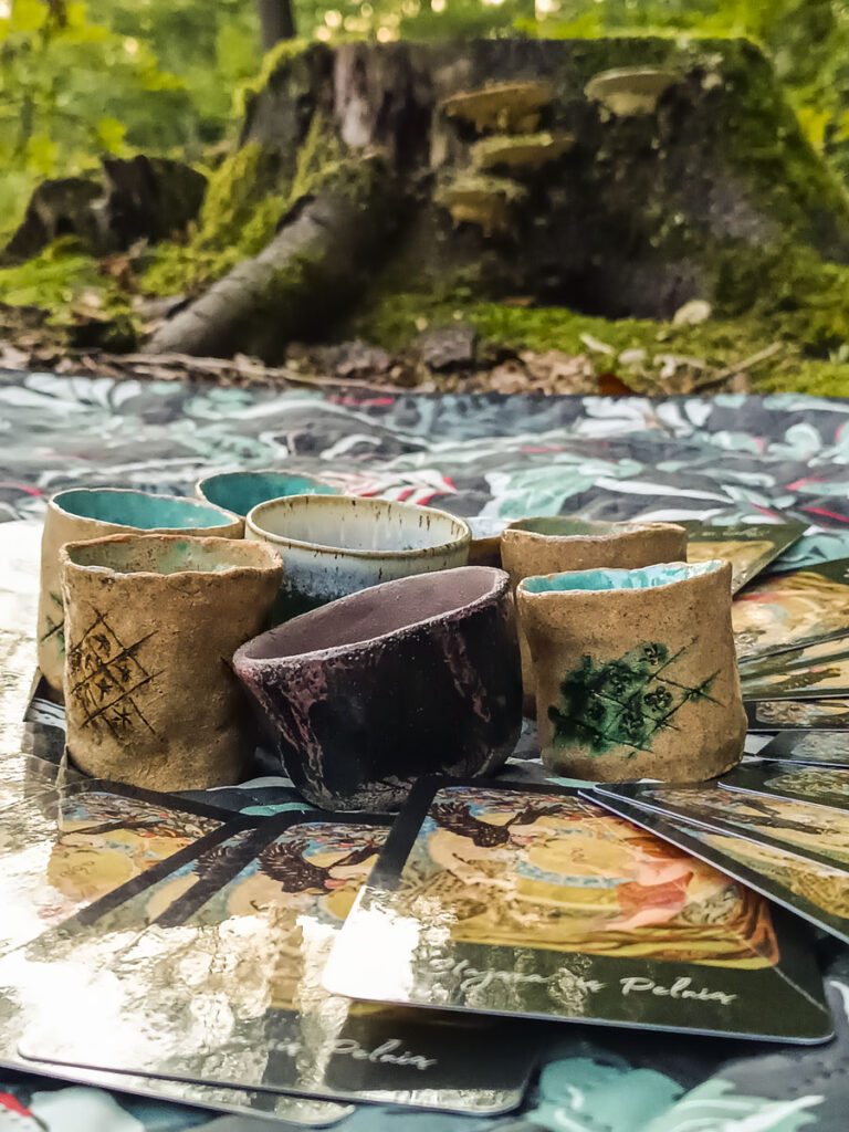 Lasoterapia Czarna Puma 17