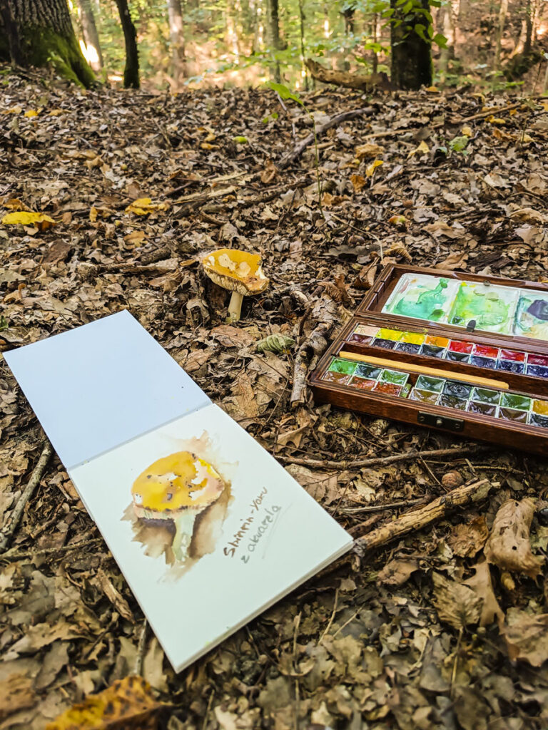 Lasoterapia Czarna Puma 20