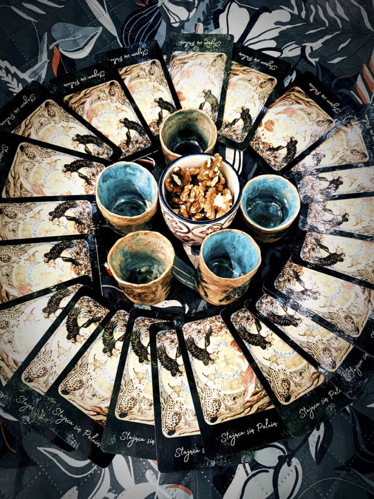 Lasoterapia Czarna Puma 22